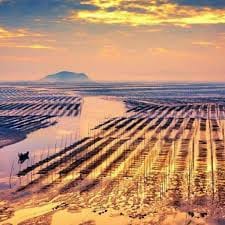 ซินดี้ สิรินยา avatar